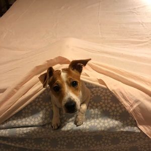 Meet your Posher, Leanne